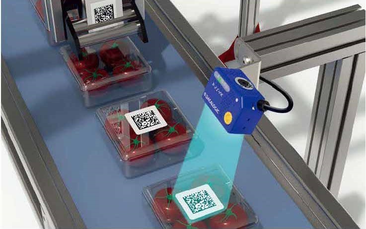 食品和饮料行业